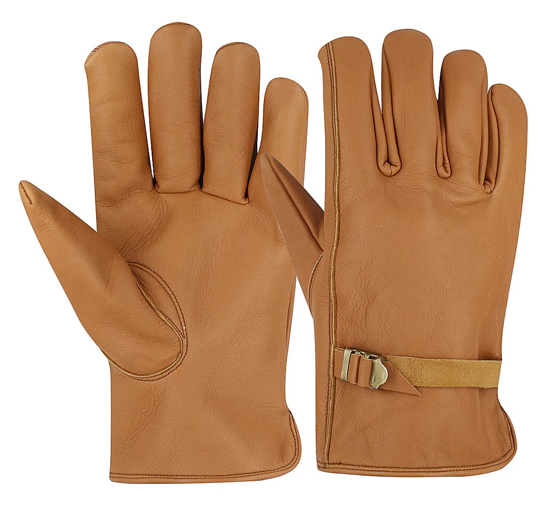 auto draft auto draft